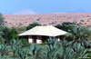 Al Maha Desert Resort & Spa 